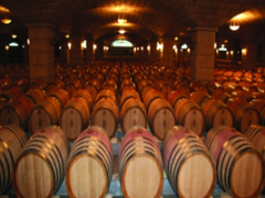 葡萄酒庄品鉴体验旅游综合体升级改造项目