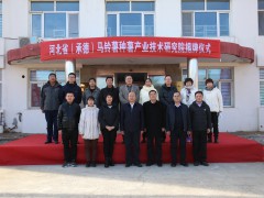 河北省（承德）马铃薯种薯产业技术研究院在围场揭牌成立