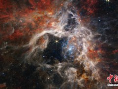 韦伯太空望远镜新拍摄狼蛛星云 恒星亮光清晰可见