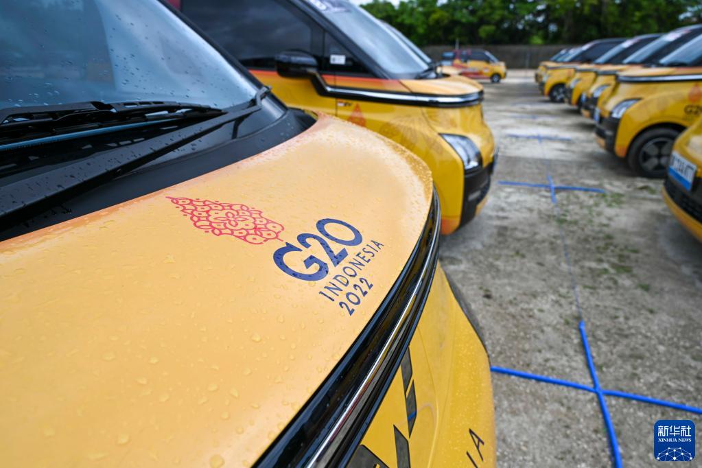 中国新能源汽车亮相巴厘岛