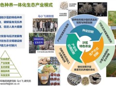 沙蓬绿色种养一体化生态产业模式