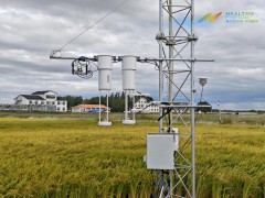 农田活性氮监测：从技术突破到生态管控的中国方案